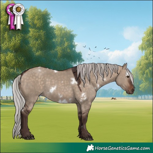 Horse Color:White Spotted Silver Brown Dun 