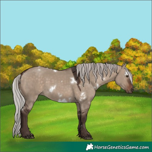 Horse Color:White Spotted Silver Brown Dun 