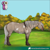 Horse Color:White Spotted Silver Brown Dun 