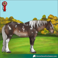 Horse Color:White Spotted Silver Brown Tobiano 