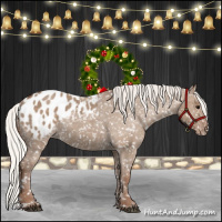 Horse Color:Silver Grullo Appaloosa 