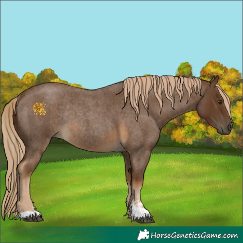 Horse Color:Chocolate Palomino Roan Sabino Rabicano 