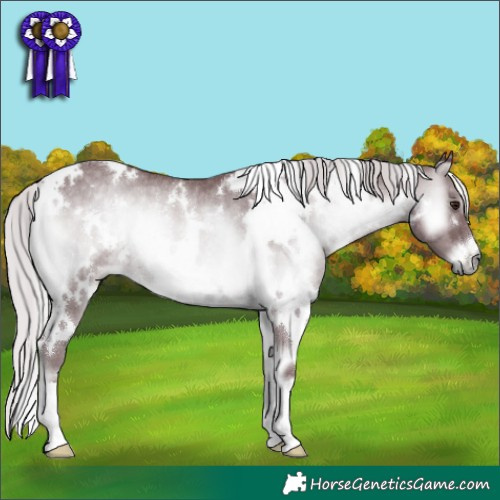 Horse Color:White Spotted Chocolate Silver Blue Onyx Chinchilla Rabicano