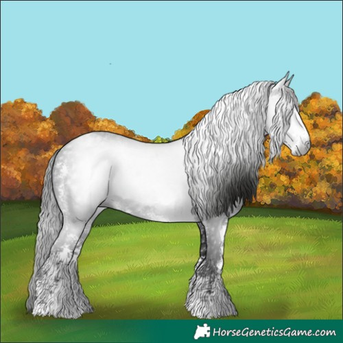 Horse Color:Gray Black Sabino