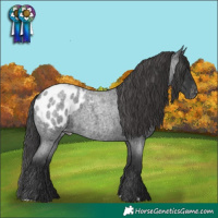 Horse Color:Blue Roan Blanket 