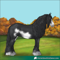 Horse Color:Black Frame 