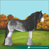 Horse Color:White Spotted Black 