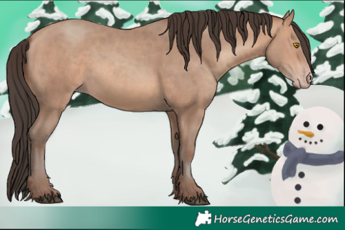 Horse Color:Amber Champagne 