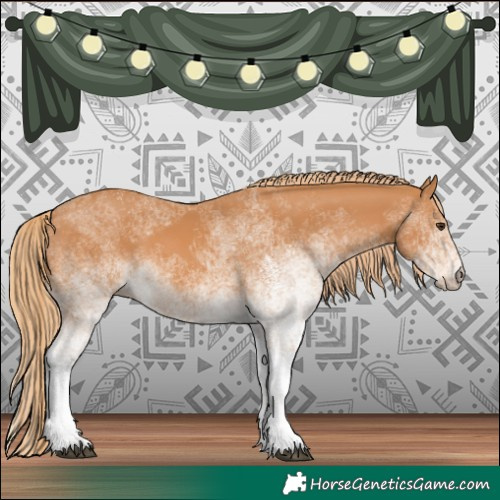 Horse Color:White Spotted Chestnut 