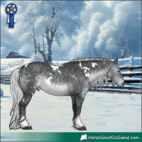 Horse Color:White Spotted Silver Brown Chinchilla Tobiano Rabicano