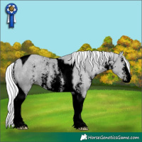 Horse Color:Void Silver Black Chinchilla Pearl Sabino Tobiano Rabicano 