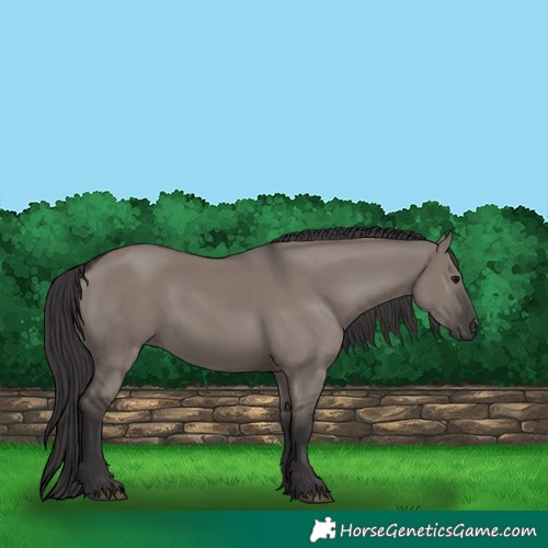 Horse Color:Smoky Grullo 