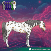Horse Color:Buckskin Appaloosa