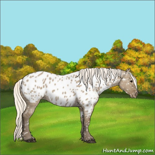 Horse Color:Silver Smoky Grullo Near Leopard