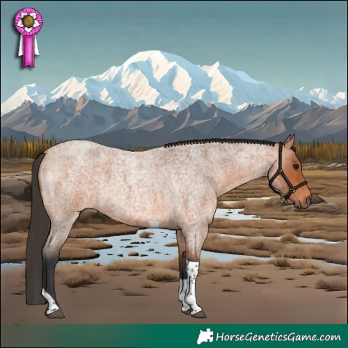 Horse Color:Bay Roan Tobiano 