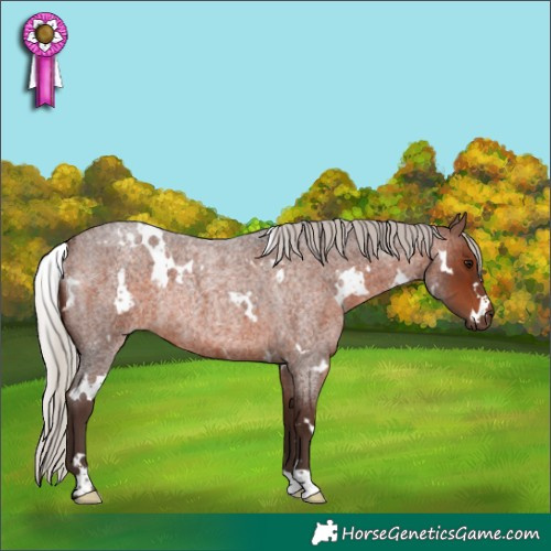 Horse Color:White Spotted Silver Brown Roan Rabicano 