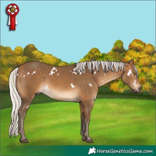 Horse Color:White Spotted Silver Buckskin Rabicano 