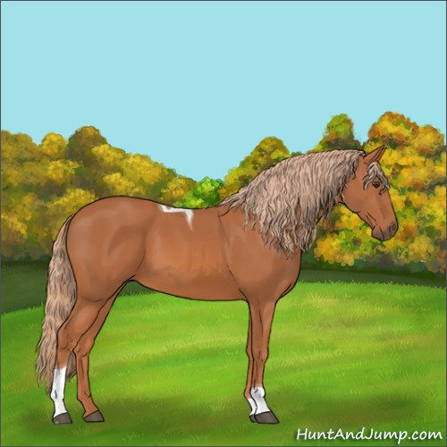 Horse Color:Chestnut Tobiano