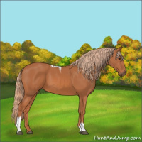 Horse Color:Chestnut Tobiano 