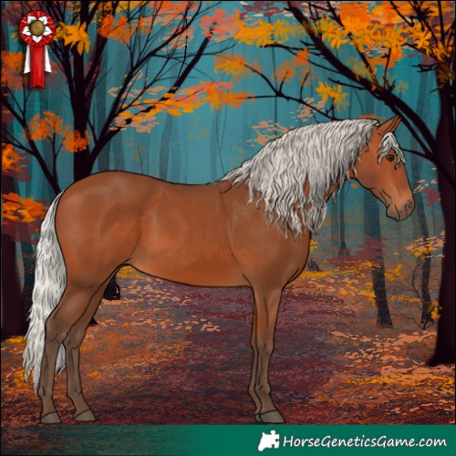 Horse Color:Silver Bay 