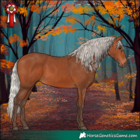 Horse Color:Silver Bay