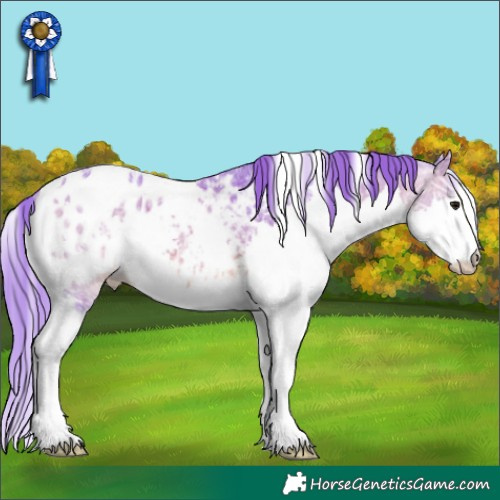Horse Color:Watercolor White Spotted Bay Ice Splash Appaloosa 