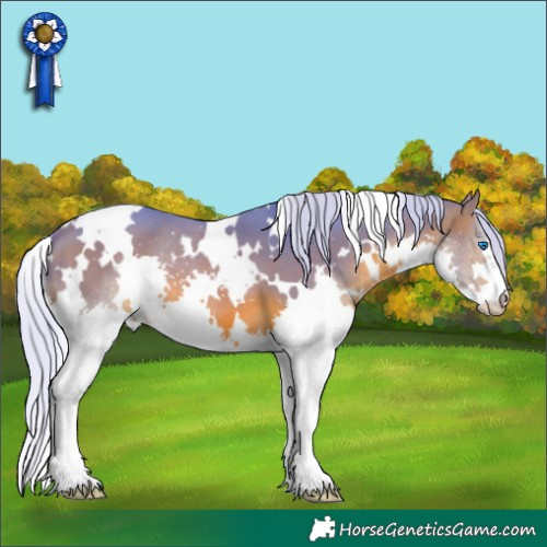Horse Color:Watercolor White Spotted Silver Brown Splash 