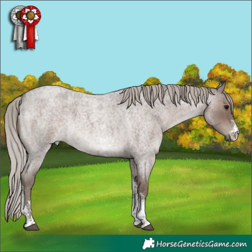 Horse Color:Silver Blue Roan Sabino 