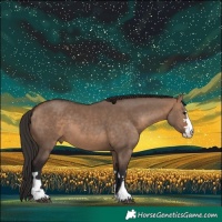 Horse Color:Bay Dun  and Bay Dun 