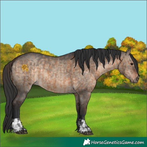 Horse Color:Brown Dun  and Brown Dun 