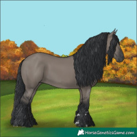 Horse Color:Grullo 