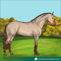 Horse Color:Bay Dun  and Red Dun 