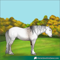 Horse Color:Gray Amber Champagne Tobiano