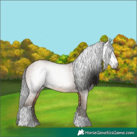 Horse Color:Gray Amber Champagne Tobiano