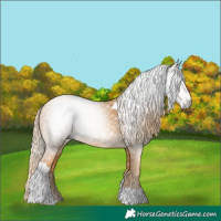 Horse Color:Gray Gold Cream Champagne Tobiano 