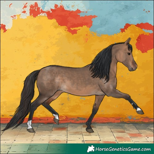 Horse Color:Bay Dun  and Bay Dun 