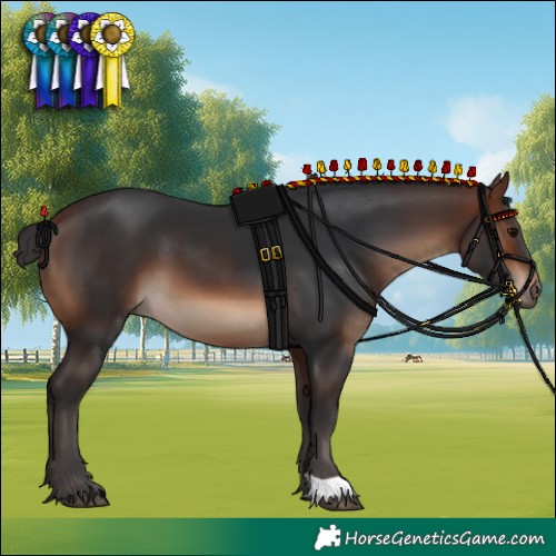 Horse Color:Brown 