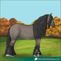 Horse Color:Grullo 