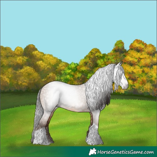 Horse Color:Gray Amber Champagne Tobiano 