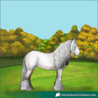Horse Color:Gray Amber Champagne Tobiano