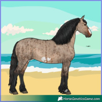 Horse Color:Brown Dun  and Brown Dun Frame 