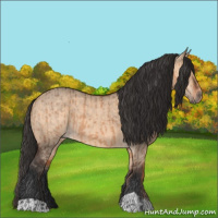 Horse Color:Bay Dun  and Bay Dun 