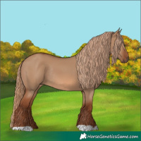 Horse Color:Red Dun Rabicano
