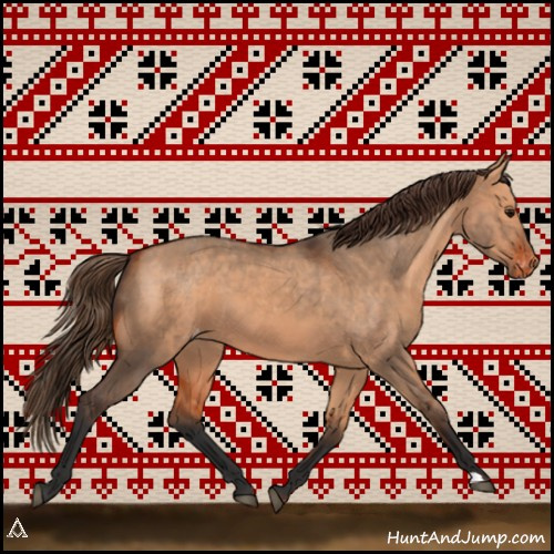 Horse Color:Bay Dun Appaloosa  and Bay Dun Appaloosa 