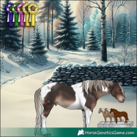 Horse Color:Liver Chestnut Mushroom Tobiano