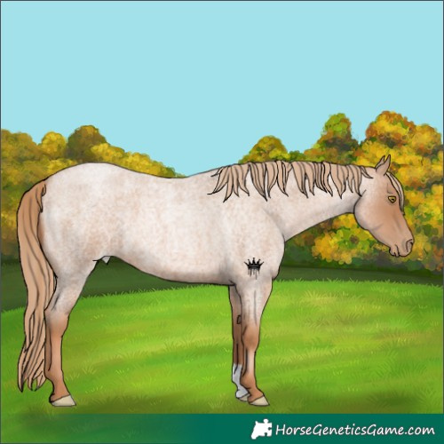 Horse Color:Red Roan Pearl 