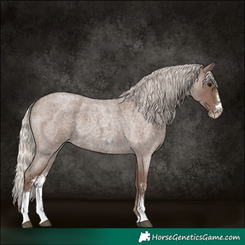 Horse Color:Silver Blue Roan Sabino 