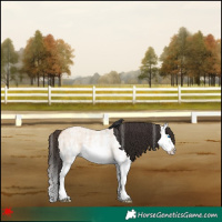 Horse Color:White Spotted Bay Roan Dun Splash 