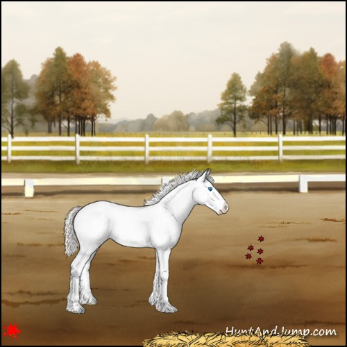 Horse Color:White Spotted Silver Grullo Splash 