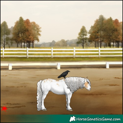 Horse Color:White Spotted Silver Buckskin 